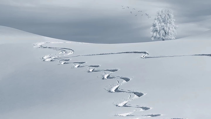 blog16